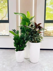 北仑绿化修剪设计